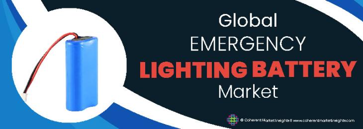 Top Companies - Emergency Lighting Battery Industry