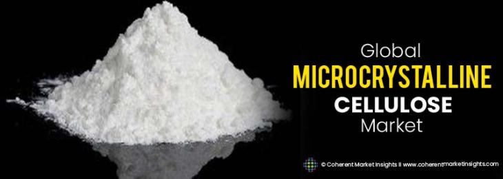 Top Companies - Microcrystalline Cellulose Industry