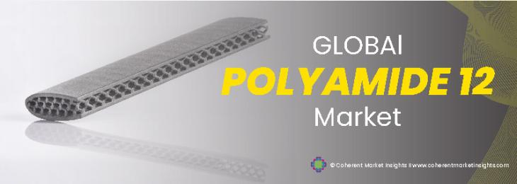 Top Companies - Polyamide 12 Industry