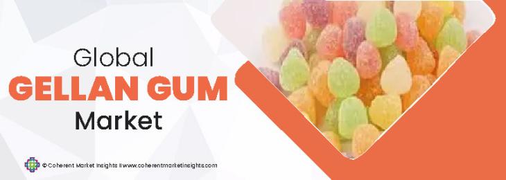 Prominent Companies - Gellan Gum Industry