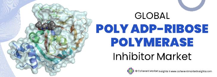 Key Leaders - PARP (Poly ADP-Ribose Polymerase) Inhibitor Industry