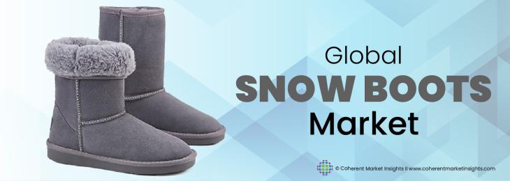 Market Leaders - Snow Boots Industry