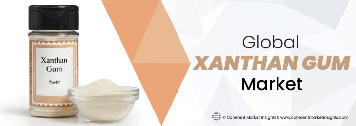 Key Competitors - Xanthan Gum Industry