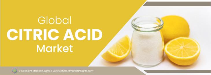 Key Companies - Citric Acid Industry