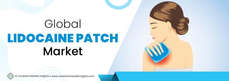 Key Leaders - Lidocaine Patch Industry