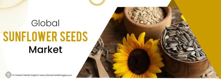 Market Leaders - Sunflower Seeds Industry