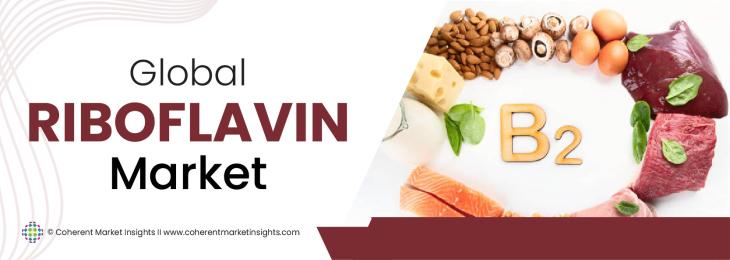 Key Companies - Riboflavin Industry