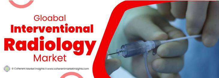 Top Companies - Interventional Radiology Industry