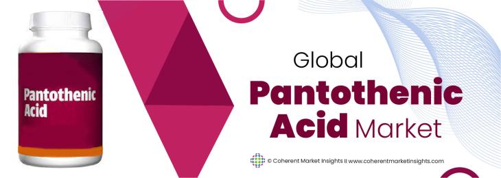 Top Companies - Pantothenic Acid Industry