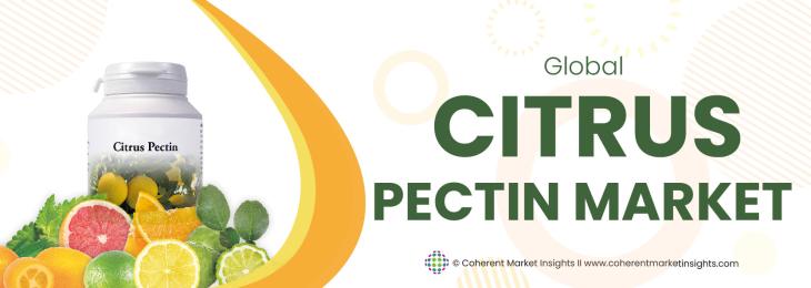 Leading Companies - Citrus Pectin Industry