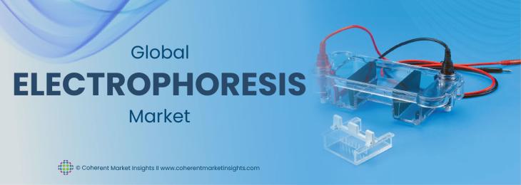 Key Leaders and Latest Developments - Electrophoresis Industry