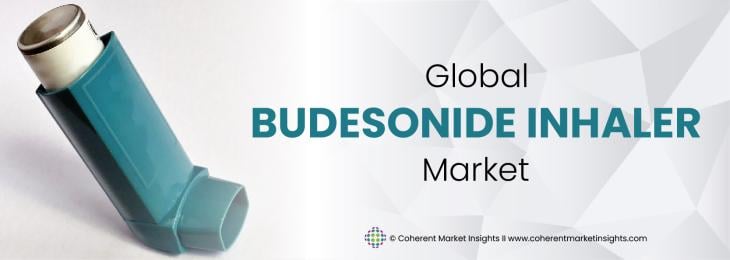 Top Companies - Budesonide Inhaler Industry