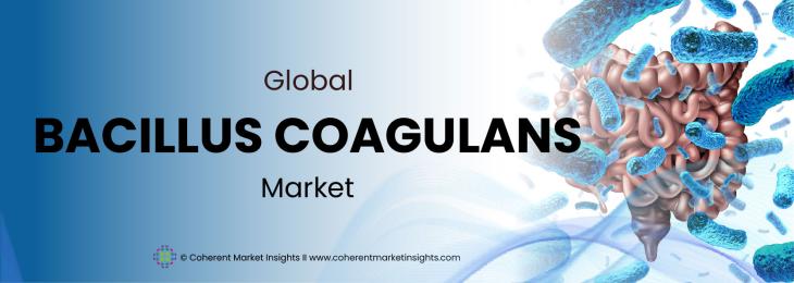 Prominent Players - Bacillus Coagulans Industry