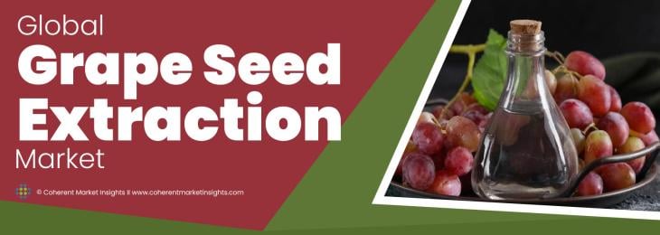 Key Leaders - Grape Seed Extraction Industry