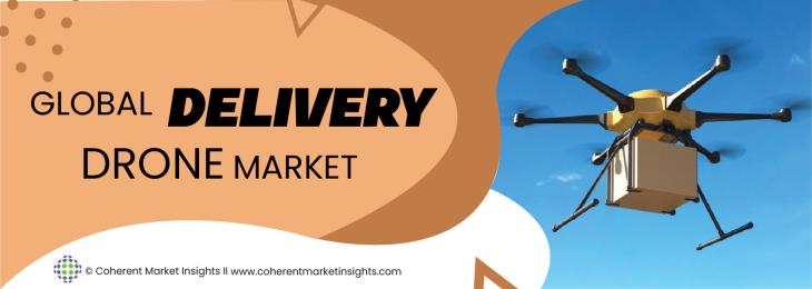 Top Companies - Delivery Drones Industry