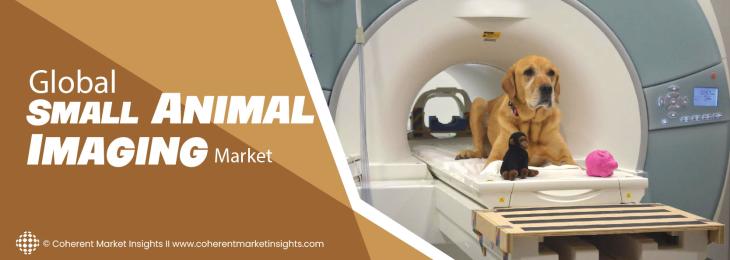 Prominent Companies - Small Animal Imaging Industry