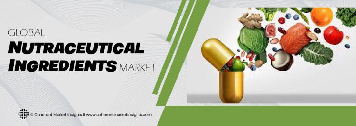 Key Competitors - Nutraceutical Ingredients Industry