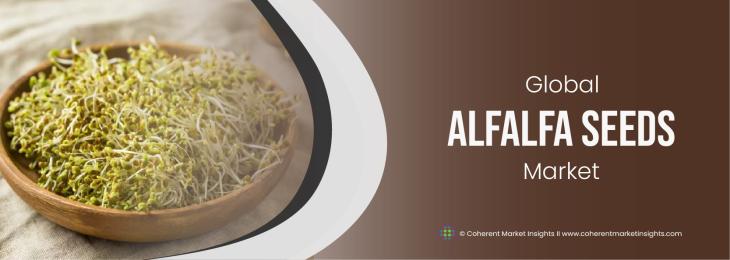 Market Leaders - Alfalfa Seeds Industry