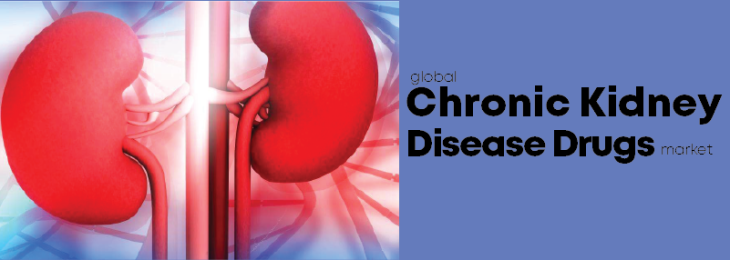 Market Leaders - Chronic Kidney Disease Drugs Industry