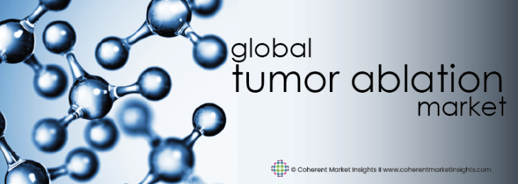 Prominent Companies - Tumor Ablation Industry