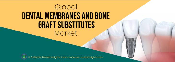 Key Leaders - Dental Membranes And Bone Graft Substitutes Industry