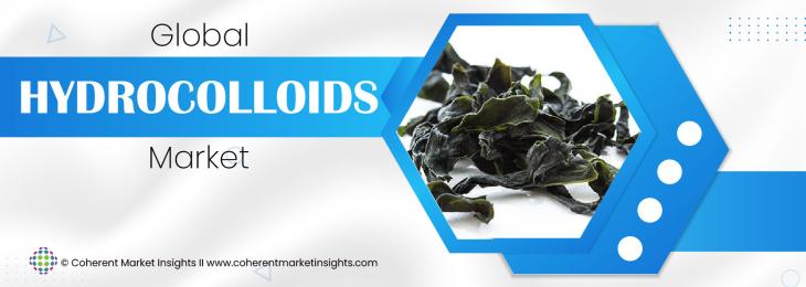 Market Leaders - Hydrocolloids Industry