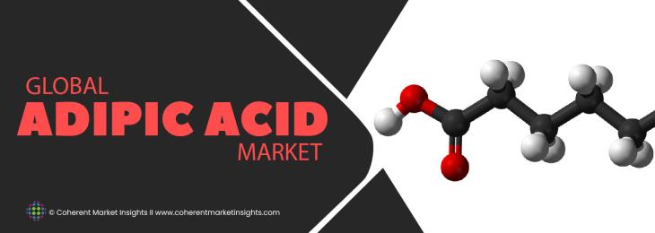 Leading Companies - Adipic Acid Industry