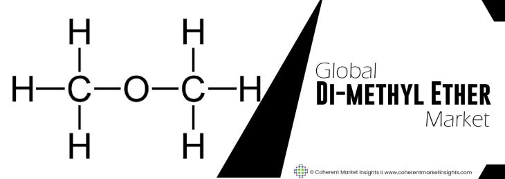 Prominent Players - Di-Methyl Ether Industry