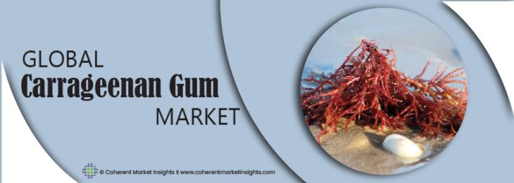 Key Companies - Carrageenan Gum Industry