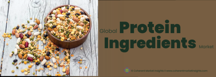 Key Companies - Protein Ingredients Industry