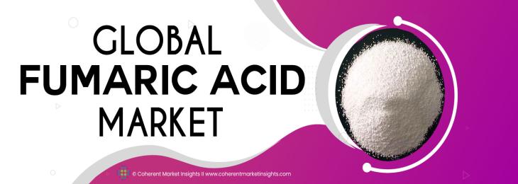 Top Companies - Fumaric Acid Industry