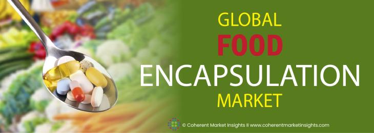 Key Companies - Food Encapsulation Industry