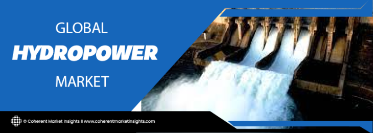 Major Players - Hydropower Industry 