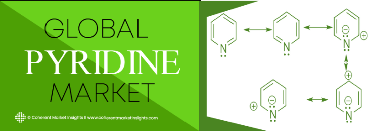 Prominent Players -  Pyridine Industry