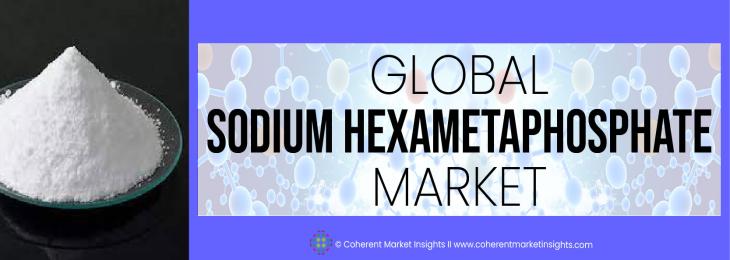 Top Companies - Sodium Hexametaphosphate Industry