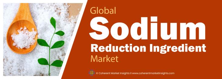 Prominent Players - Sodium Reduction Ingredient Industry