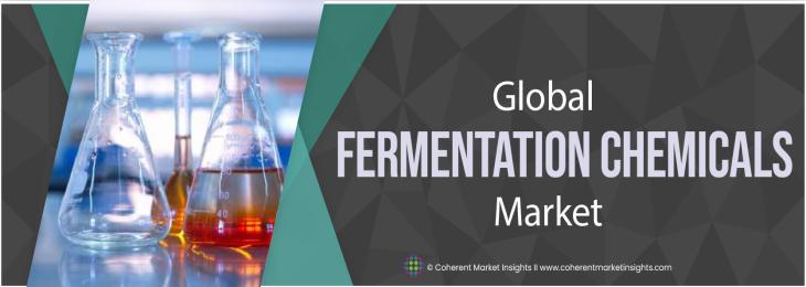 Key Competitors - Fermentation Chemicals Industry