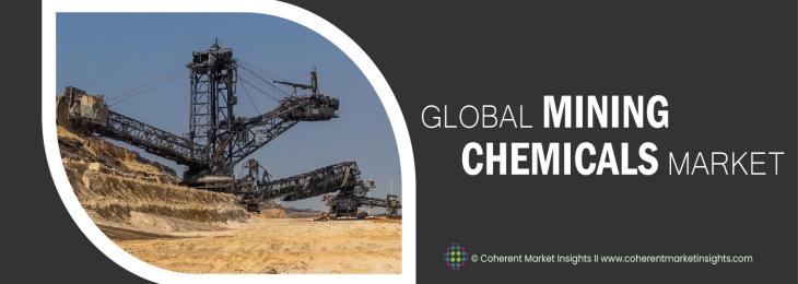 Market Players - Mining Chemicals Industry