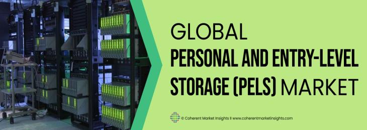 Prominent Players - Personal And Entry-Level Storage (PELS) Industry