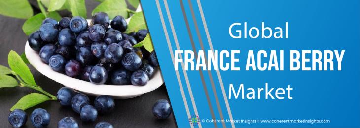 Market Players - France Acai Berry Industry