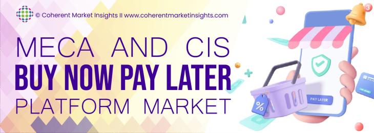 Leading Companies - Mena And Cis Buy Now Pay Later Platform Industry