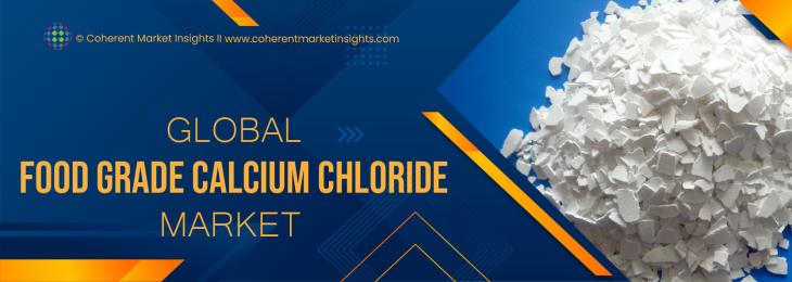 Top Companies - Food Grade Calcium Chloride Industry