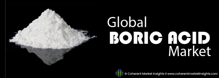 Prominent Players - Boric acid Industry