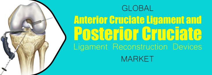 Major Players - Anterior Cruciate Ligament and Posterior Cruciate Ligament Reconstruction Devices Industry