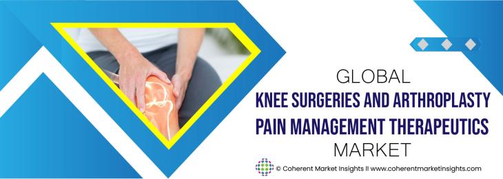 Major Players - Knee Surgeries And Arthroplasty Pain Management Therapeutics Industry