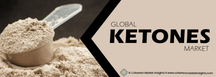 Major Players - Ketones Industry