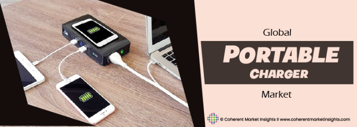 Key Companies - Portable Charger Industry