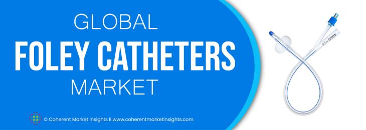 Major Players - Foley Catheters Industry