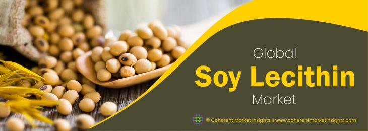 Top Companies - Soy Lecithin Industry