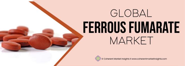 Leading Companies - Ferrous Fumarate Industry